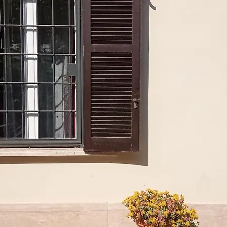 Daire San Peter Vatican Quiet And Lovely Roma