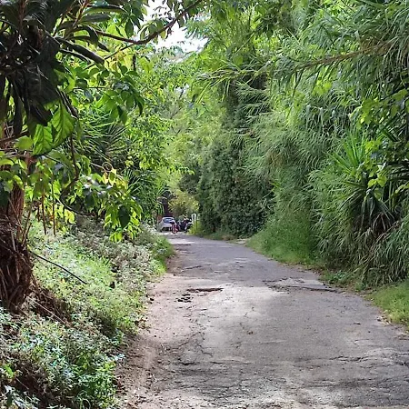 San Peter Vatican Quiet And Lovely *