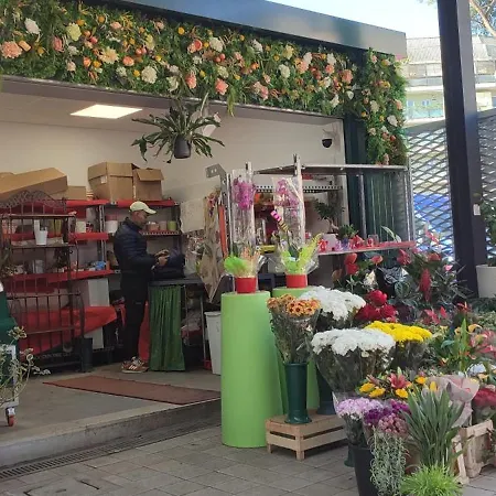 San Peter Vatican Quiet And Lovely Daire Roma