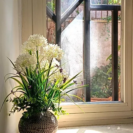 Daire San Peter Vatican Quiet And Lovely *