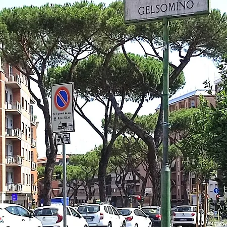 San Peter Vatican Quiet And Lovely Daire