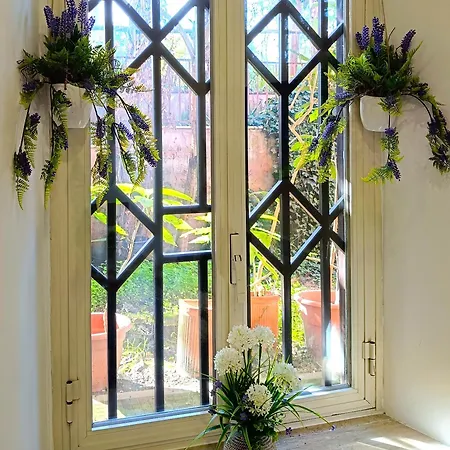 San Peter Vatican Quiet And Lovely Daire *