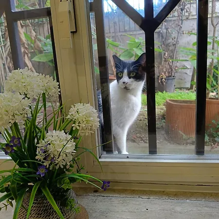 San Peter Vatican Quiet And Lovely * Roma