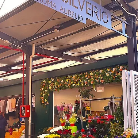 San Peter Vatican Quiet And Lovely * Roma