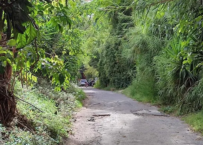 San Peter Vatican Quiet And Lovely *