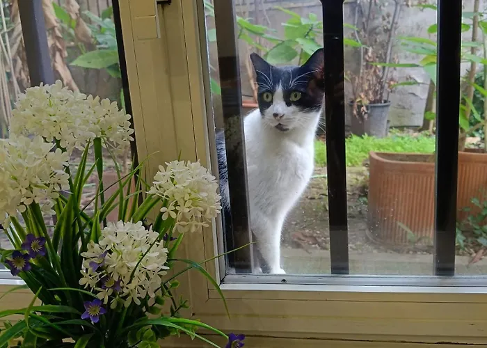 San Peter Vatican Quiet And Lovely * Рим